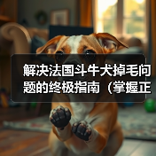 解决法国斗牛犬掉毛问题的终极指南(掌握正确护理方法,让您的犬儒重拾健康光泽)(图1) 解决法国斗牛犬掉毛问题的终极指南(掌握正确护理方法,让您的犬儒重拾健康光泽)(图1)