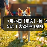 1月26日【重庆】(第125期)丨犬猫外科(高阶)班!含SUB(人人可实操)、乳糜胸等技术!(图3) 1月26日【重庆】(第125期)丨犬猫外科(高阶)班!含SUB(人人可实操)、乳糜胸等技术!(图3)