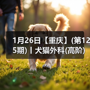 1月26日【重庆】(第125期)丨犬猫外科(高阶)班!含SUB(人人可实操)、乳糜胸等技术!(图1) 1月26日【重庆】(第125期)丨犬猫外科(高阶)班!含SUB(人人可实操)、乳糜胸等技术!(图1)