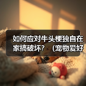 如何应对牛头梗独自在家搞破坏？（宠物爱好者必看！一定要知道的防范措施！）（图1）
