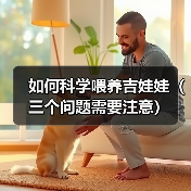 如何科学喂养吉娃娃（三个问题需要注意）（图3）