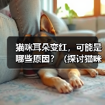 猫咪耳朵变红，可能是哪些原因？（探讨猫咪耳朵变红的原因，提供解决方案）（图1）