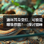 猫咪耳朵变红，可能是哪些原因？（探讨猫咪耳朵变红的原因，提供解决方案）（图4）
