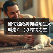 如何避免狗狗被陌生人叫走？（以宠物为主，注意安全！）（图3）
