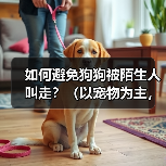 如何避免狗狗被陌生人叫走？（以宠物为主，注意安全！）（图4）