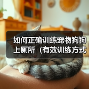 如何正确训练宠物狗狗上厕所（有效训练方式、注意事项和应对突发情况）（图3）