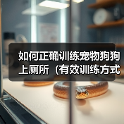 如何正确训练宠物狗狗上厕所（有效训练方式、注意事项和应对突发情况）（图4）