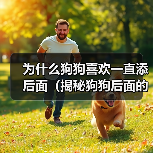 为什么狗狗喜欢一直添后面(揭秘狗狗后面的行为习惯,探寻它们内心的真正想法)(图3) 为什么狗狗喜欢一直添后面(揭秘狗狗后面的行为习惯,探寻它们内心的真正想法)(图3)