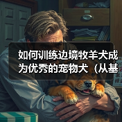 如何训练边境牧羊犬成为优秀的宠物犬(从基础训练到高级训练,打造最可靠的伴侣)(图3) 如何训练边境牧羊犬成为优秀的宠物犬(从基础训练到高级训练,打造最可靠的伴侣)(图3)