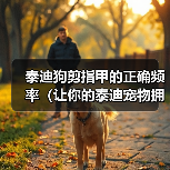泰迪狗剪指甲的正确频率（让你的泰迪宠物拥有健康的爪子）（图3）