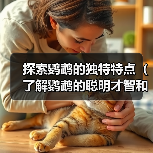 探索鹦鹉的独特特点(了解鹦鹉的聪明才智和多样化能力)(图1) 探索鹦鹉的独特特点(了解鹦鹉的聪明才智和多样化能力)(图1)