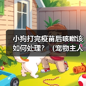 小狗打完疫苗后咳嗽该如何处理?(宠物主人必看,小狗咳嗽的治疗和预防措施)(图3) 小狗打完疫苗后咳嗽该如何处理?(宠物主人必看,小狗咳嗽的治疗和预防措施)(图3)