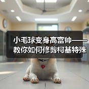 小毛球变身高富帅——教你如何修剪柯基特殊部位的毛发（突显优点，让你的柯基成为街头焦点）（图1）