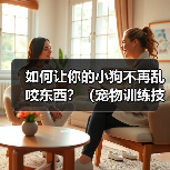 如何让你的小狗不再乱咬东西?(宠物训练技巧,有效预防狗狗乱咬行为)(图1) 如何让你的小狗不再乱咬东西?(宠物训练技巧,有效预防狗狗乱咬行为)(图1)