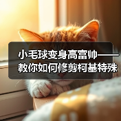 小毛球变身高富帅——教你如何修剪柯基特殊部位的毛发（突显优点，让你的柯基成为街头焦点）（图2）