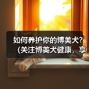 如何养护你的博美犬?(关注博美犬健康,享受宠物生活。)(图2) 如何养护你的博美犬?(关注博美犬健康,享受宠物生活。)(图2)