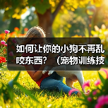 如何让你的小狗不再乱咬东西?(宠物训练技巧,有效预防狗狗乱咬行为)(图4) 如何让你的小狗不再乱咬东西?(宠物训练技巧,有效预防狗狗乱咬行为)(图4)