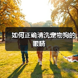 如何正确清洗宠物狗的眼睛(图1) 如何正确清洗宠物狗的眼睛(图1)