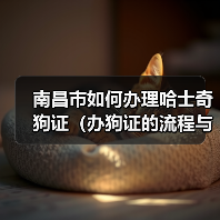 南昌市如何办理哈士奇狗证(办狗证的流程与注意事项)(图4) 南昌市如何办理哈士奇狗证(办狗证的流程与注意事项)(图4)