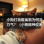 小狗打完疫苗后为何没力气？（小狗接种疫苗后的不适症状及应对方法）（图4）