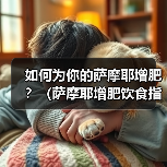 如何为你的萨摩耶增肥？（萨摩耶增肥饮食指南，让你的宠物更健康。）（图1）