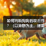 如何判断狗狗的攻击性？（以宠物为主，提高主人的安全意识）（图4）