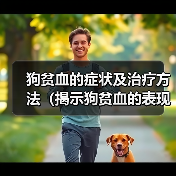 狗贫血的症状及治疗方法（揭示狗贫血的表现，提供有效的治疗方法）（图2）