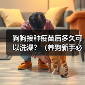 狗狗接种疫苗后多久可以洗澡？（养狗新手必知，打完针后的洗澡时间安排！）（图1）