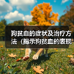 狗贫血的症状及治疗方法（揭示狗贫血的表现，提供有效的治疗方法）（图4）