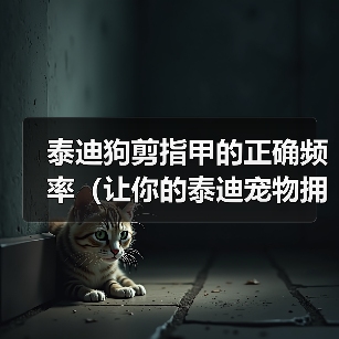 泰迪狗剪指甲的正确频率（让你的泰迪宠物拥有健康的爪子）（图1）