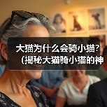 大猫为什么会骑小猫？（揭秘大猫骑小猫的神秘背后，探寻猫咪世界的玄妙。）（图1）