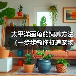 太平洋丽龟的饲养方法（一步步教你打造宠物丽龟之家）（图4）