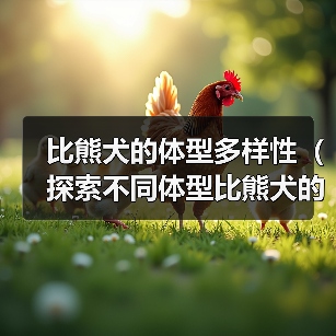 比熊犬的体型多样性（探索不同体型比熊犬的特点与魅力）（图4）