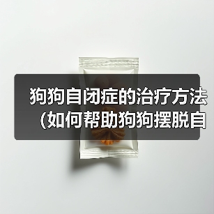狗狗自闭症的治疗方法(如何帮助狗狗摆脱自闭症困扰)(图4) 狗狗自闭症的治疗方法(如何帮助狗狗摆脱自闭症困扰)(图4)
