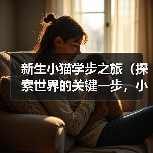 新生小猫学步之旅（探索世界的关键一步，小猫如何学会走路？）（图3）