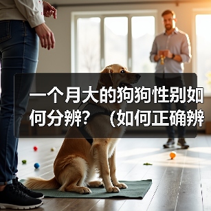 一个月大的狗狗性别如何分辨？（如何正确辨别狗狗性别，帮助它健康成长）（图4）