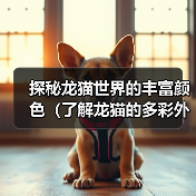探秘龙猫世界的丰富颜色（了解龙猫的多彩外貌与色彩变化）（图4）