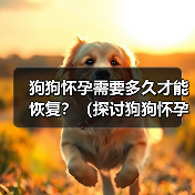 狗狗怀孕需要多久才能恢复?(探讨狗狗怀孕后的恢复周期与关键因素)(图4) 狗狗怀孕需要多久才能恢复?(探讨狗狗怀孕后的恢复周期与关键因素)(图4)