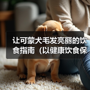 让可蒙犬毛发亮丽的饮食指南（以健康饮食保护宠物被毛，让可蒙犬变得更美丽）（图2）