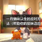 一月猫咪认生的应对方法(帮助你的猫咪适应新环境)(图1) 一月猫咪认生的应对方法(帮助你的猫咪适应新环境)(图1)