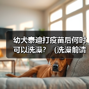 幼犬泰迪打疫苗后何时可以洗澡?(洗澡前请留意这些关键信息)(图1) 幼犬泰迪打疫苗后何时可以洗澡?(洗澡前请留意这些关键信息)(图1)