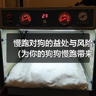 慢跑对狗的益处与风险(为你的狗狗慢跑带来的好处和潜在风险)(图2) 慢跑对狗的益处与风险(为你的狗狗慢跑带来的好处和潜在风险)(图2)