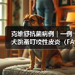 克维舒抗菌病例 | 一例犬跳蚤叮咬性皮炎(FAD)的病例分析(图1) 克维舒抗菌病例 | 一例犬跳蚤叮咬性皮炎(FAD)的病例分析(图1)