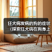 狂犬病发病的狗的症状（探索狂犬病在狗身上的表现及相关预防措施）（图4）
