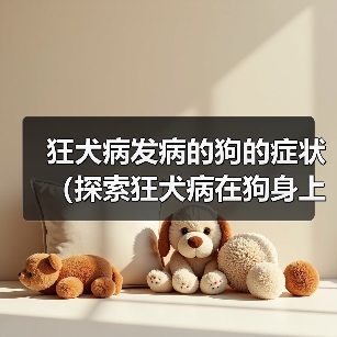 狂犬病发病的狗的症状（探索狂犬病在狗身上的表现及相关预防措施）（图1）