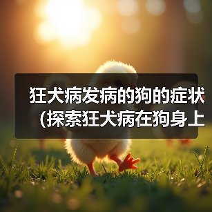 狂犬病发病的狗的症状（探索狂犬病在狗身上的表现及相关预防措施）（图2）