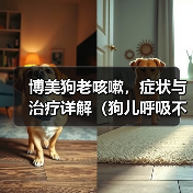 博美狗老咳嗽,症状与治疗详解(狗儿呼吸不畅,主人要重视;老年博美常咳嗽,可能存在这些问题。)(图4) 博美狗老咳嗽,症状与治疗详解(狗儿呼吸不畅,主人要重视;老年博美常咳嗽,可能存在这些问题。)(图4)