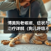 博美狗老咳嗽,症状与治疗详解(狗儿呼吸不畅,主人要重视;老年博美常咳嗽,可能存在这些问题。)(图3) 博美狗老咳嗽,症状与治疗详解(狗儿呼吸不畅,主人要重视;老年博美常咳嗽,可能存在这些问题。)(图3)