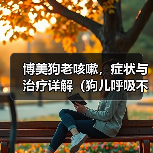 博美狗老咳嗽,症状与治疗详解(狗儿呼吸不畅,主人要重视;老年博美常咳嗽,可能存在这些问题。)(图1) 博美狗老咳嗽,症状与治疗详解(狗儿呼吸不畅,主人要重视;老年博美常咳嗽,可能存在这些问题。)(图1)