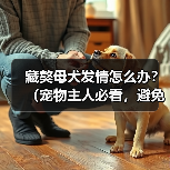 藏獒母犬发情怎么办？（宠物主人必看，避免犬只走失！）（图1）